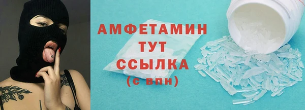 гашик Пересвет