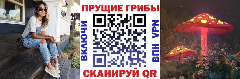 цена   Нягань  Галлюциногенные грибы MAGIC MUSHROOMS 