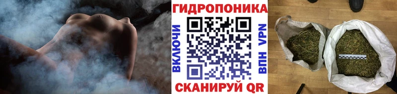 кракен как войти  Нягань  Бошки марихуана конопля  закладка 